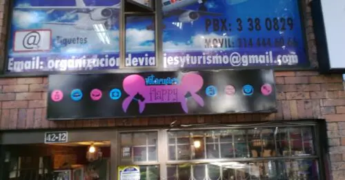 VETERINARIAS FLAPPY VETERINARIAS FLAPPY